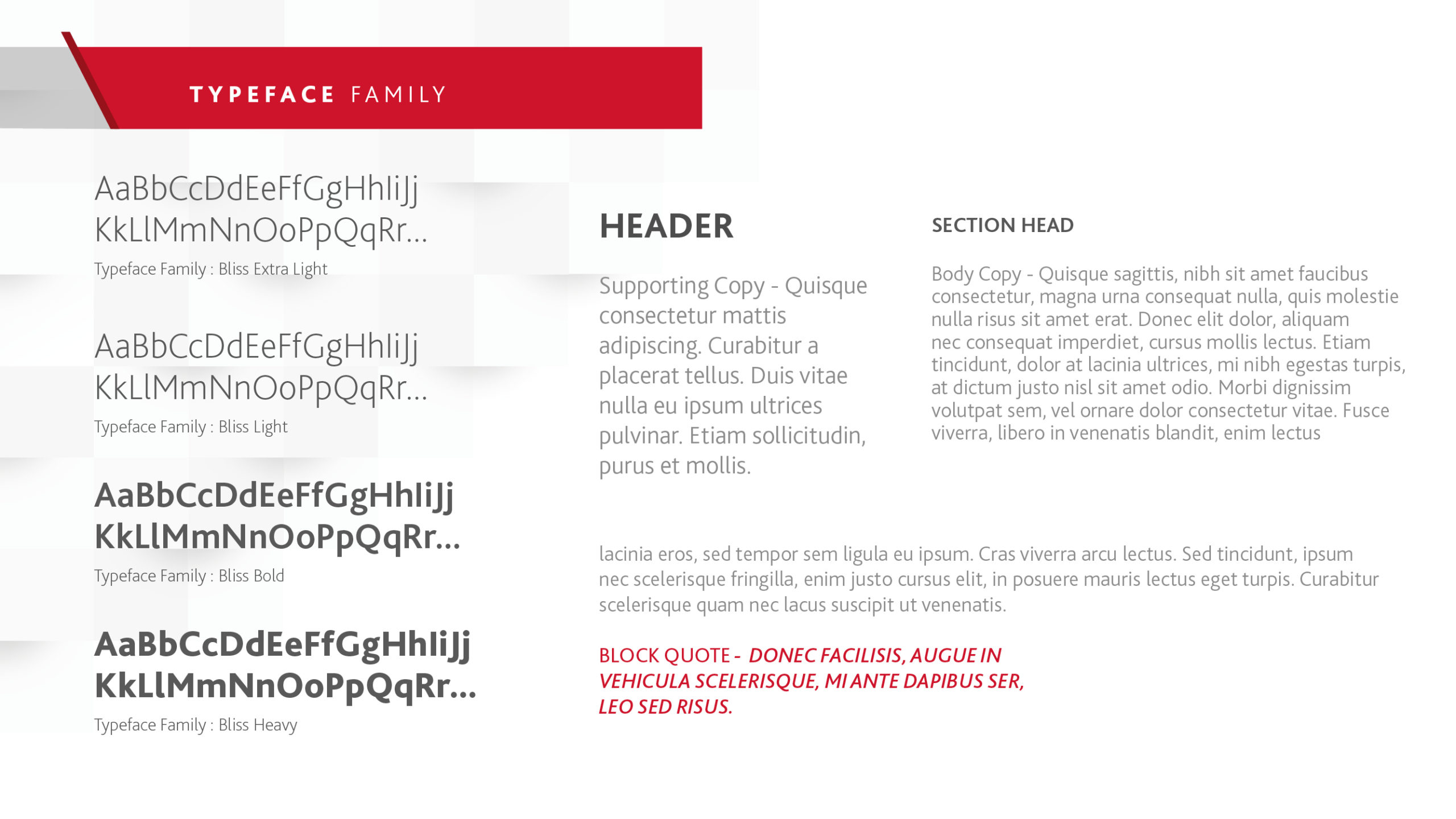 Style Guide Final9